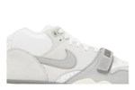 Кроссовки Nike Air Trainer 1 "Photon Dust"
