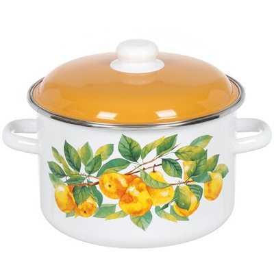 Кастрюля сталь, эмал, 5.5 л, с крыш, крышка сталь, СтальЭмаль, Грушевый сад, 6RD221M, белоснежная