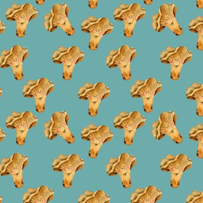 грибочки лисички