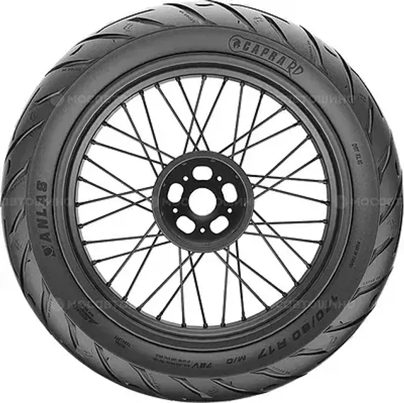 Anlas Capra-RD 120/70 R19 60V