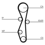 CONTINENTAL CTAM - CT1091K1
