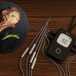 Сменный щуп BMT01 для термометра SONOFF BBQ MPS01 (2 шт.)
