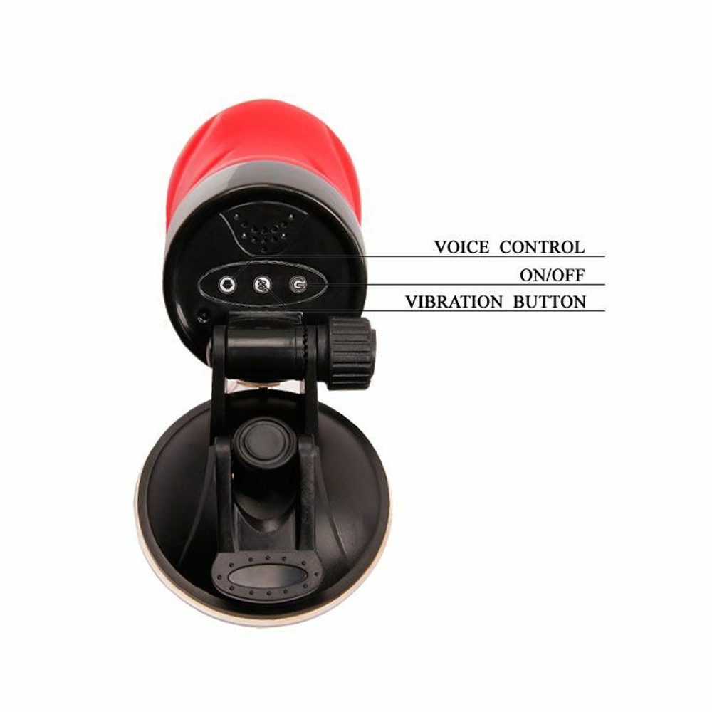 Мастурбатор-вагина Baile Delia, вибрация и голос, 28,3 см