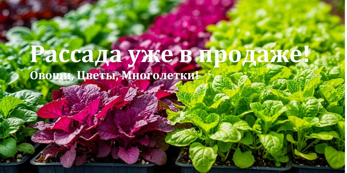 Ух! Ну и сезон! Не успеваем выкладывать)))