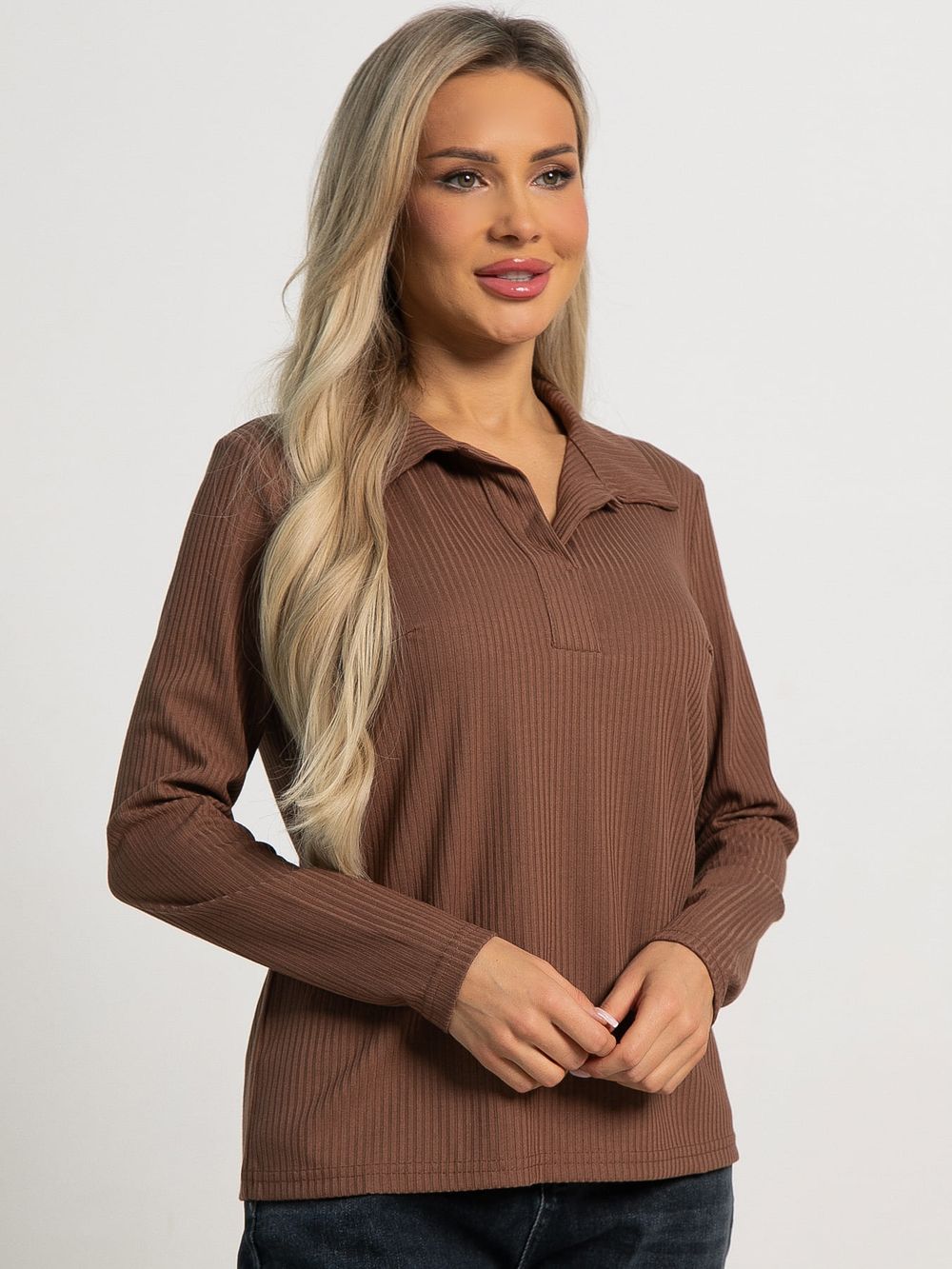 Лонгслив с воротничком Ритм жизни (коричневый) Б15618-6М LT Collection