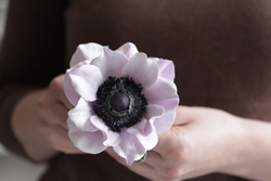 Силиконовый молд вайнер для лепки Анемона и Магнолии