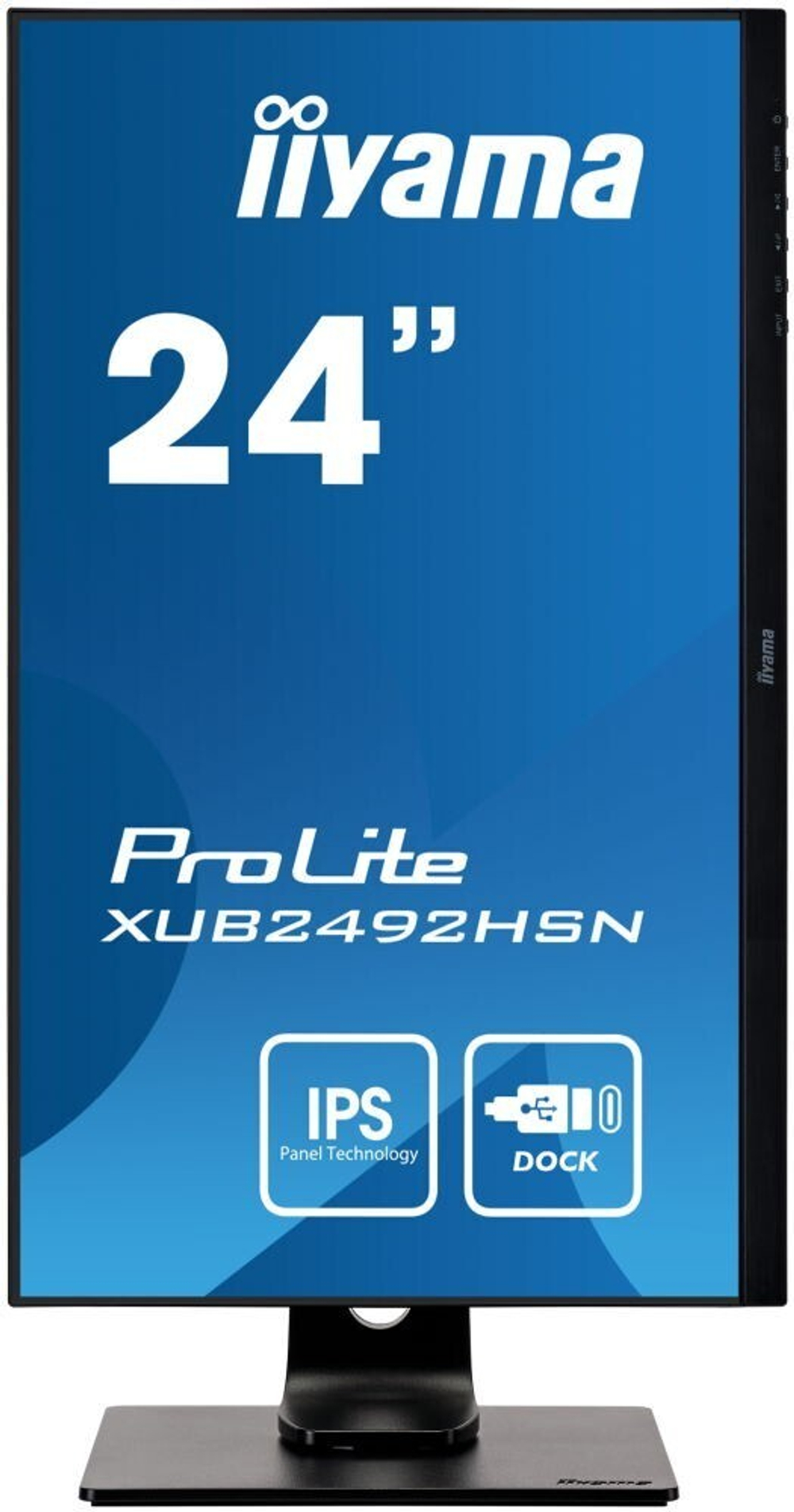 Монитор 23.8" Iiyama 24 ProLite (XUB2492HSN-B1)
