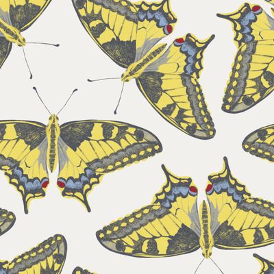 Махаоны на почти белом