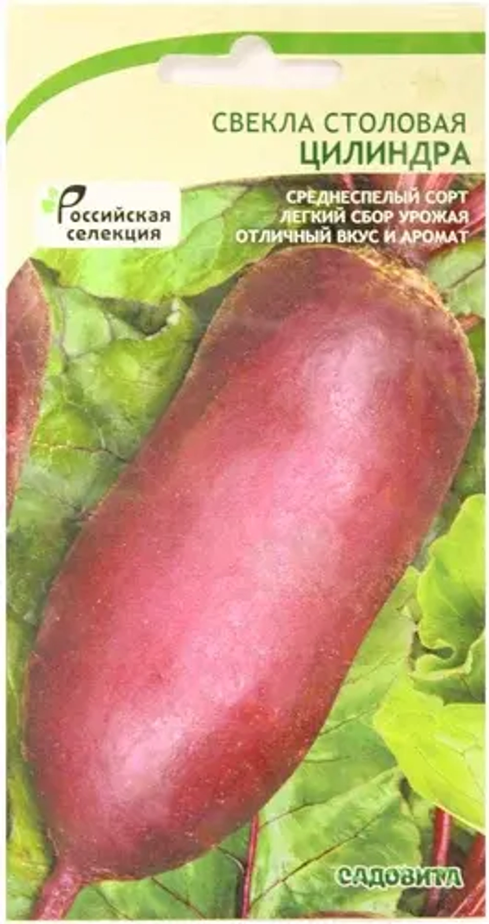 Свекла семена