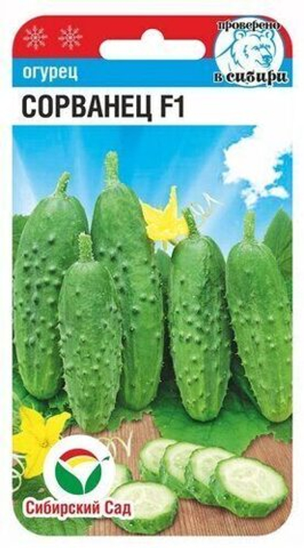 Огурец Сорванец 7шт СибСад