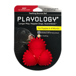 Playology дентальный жевательный тройной мяч SQUEAKY BOUNCE BALL для щенков 4-8 месяцев с ароматом говядины, цвет красный