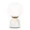 Настольный светильник Freya FR5288TL-01W