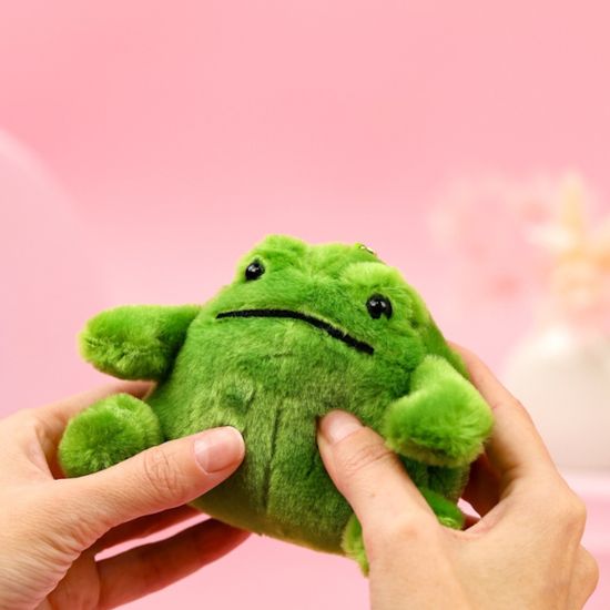 Мягкий брелок Big Frog, Большая лягушка 9х13 см