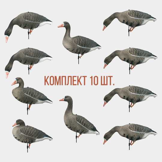 Белолобый гусь Softplast 3D мод. BS-3D