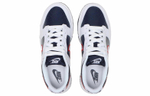 Кроссовки Nike Dunk Low 'Houston Comets Four-Peat' (Женская размерная сетка)