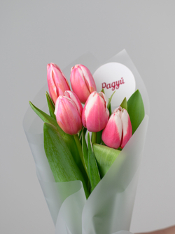Тюльпаны микс