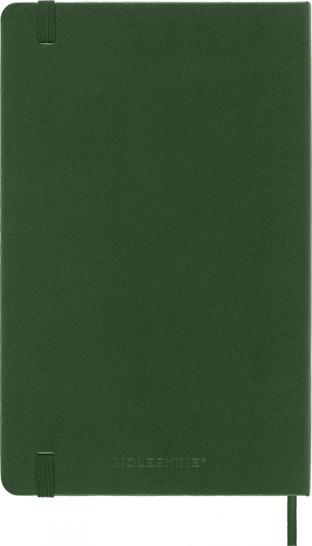 Ежедневник на 2025 год Moleskine Classic (DHK1512DC3) 13х21см твердая обложка зеленый