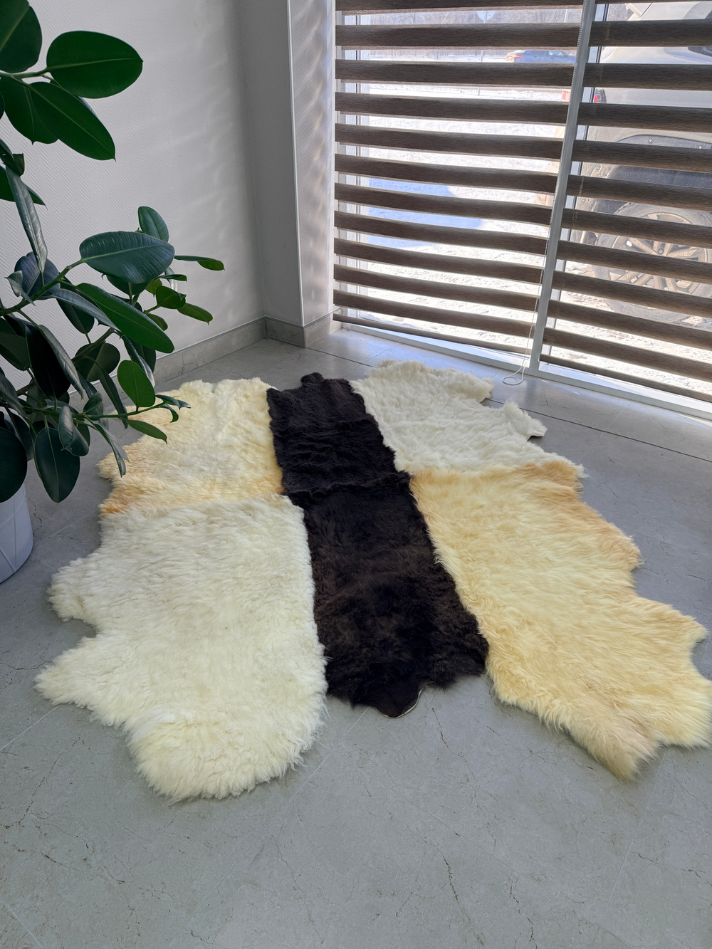 Ковер шкура натуральная овчина Меховой