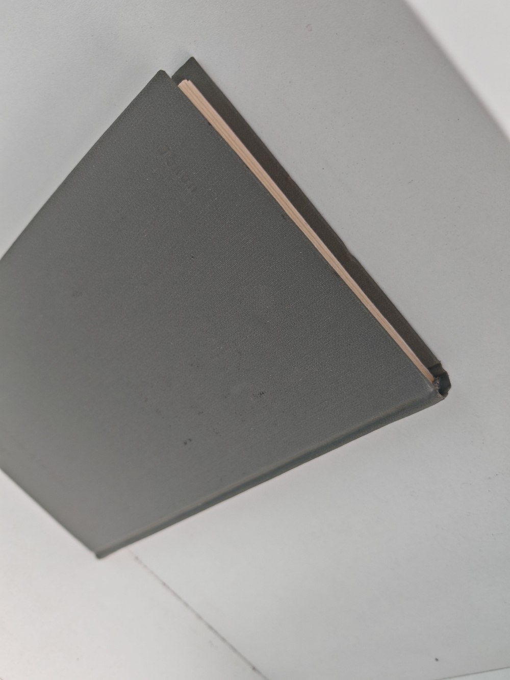 Меж людей и с людьми