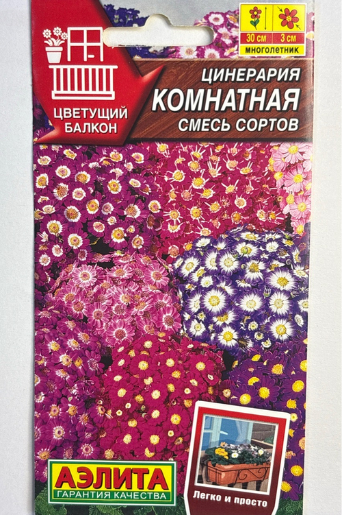 Цинерария Комнатная, смесь сортов СМЦ-616