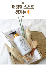 Шампунь для волос Elizavecca CER-100 Collagen Coating Hair Muscle Shampoo, 500 мл