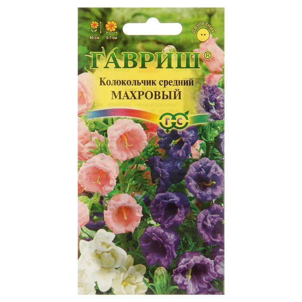 Колокольчик Махровый