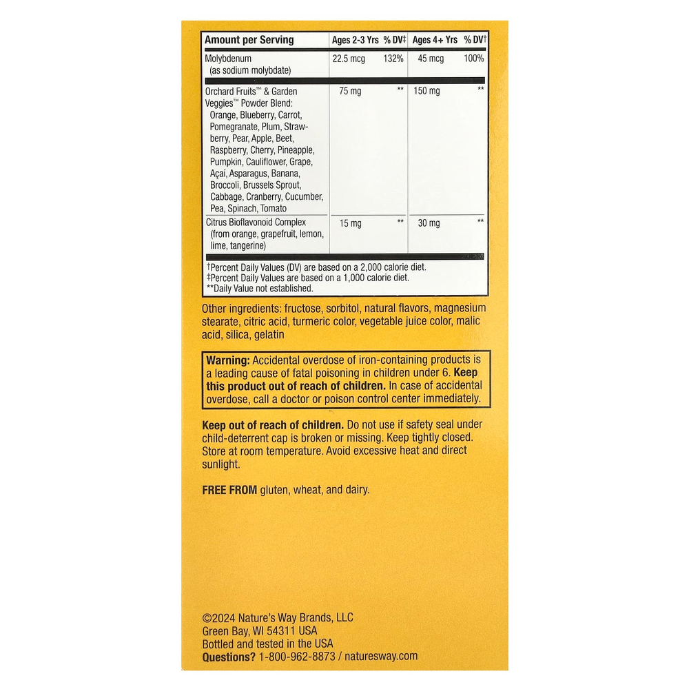 Nature's Way, Alive!®, жевательные мультивитамины для детей от 2 лет, со вкусом апельсина и ягод, 120 жевательных таблеток