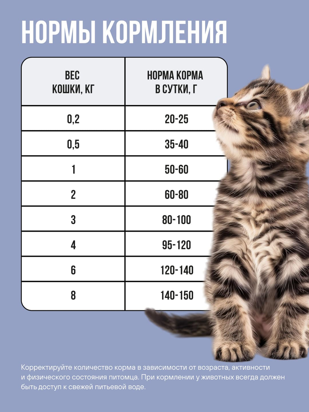 Сухой корм Bowl Wow для котят с индейкой, курицей и черникой - 0,4 кг