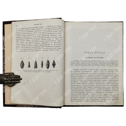 [Конволют] Полевой П. Н. Очерки русской истории в памятниках быта. В 2 т. 1879