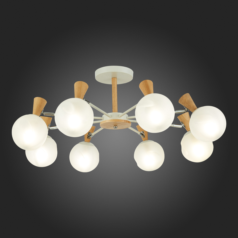 Светильник потолочный Evoluce Catania SLE220702-08