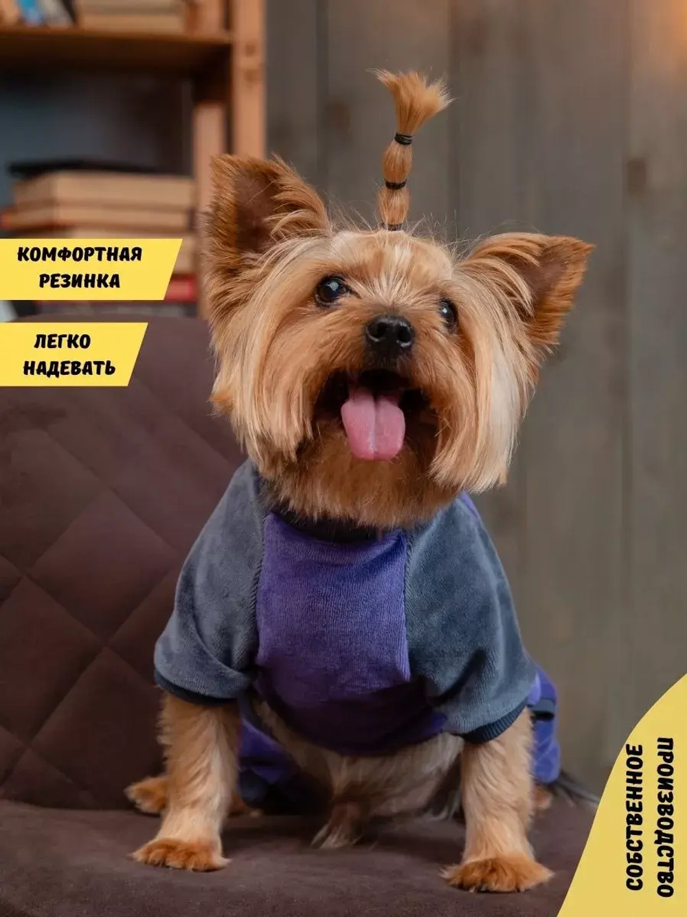 Комбинезон костюм для собак и кошек