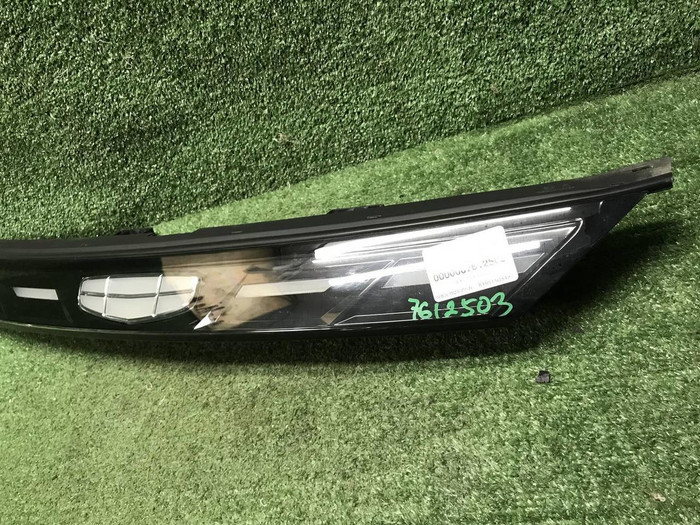 ДХО центральный Geely Atlas 2 (2023-н.в.)