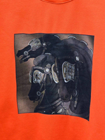 Толстовка Hermes