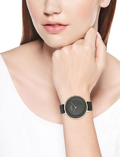 Женские часы Skagen SKW2286