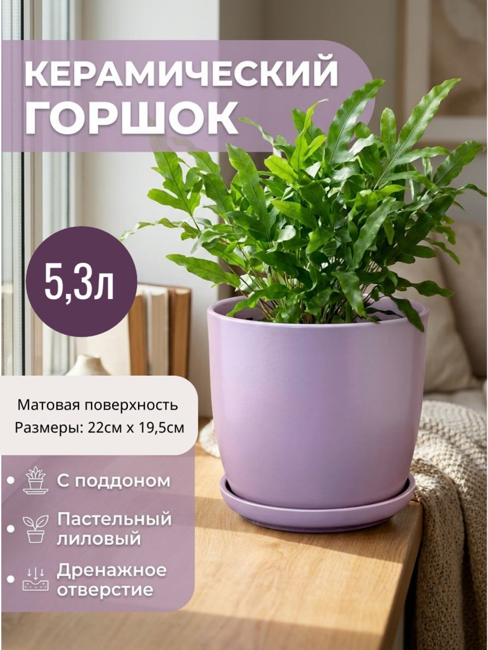 вероналав5,3