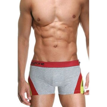 Трусы мужские боксеры серые DARKZONE DZN4103