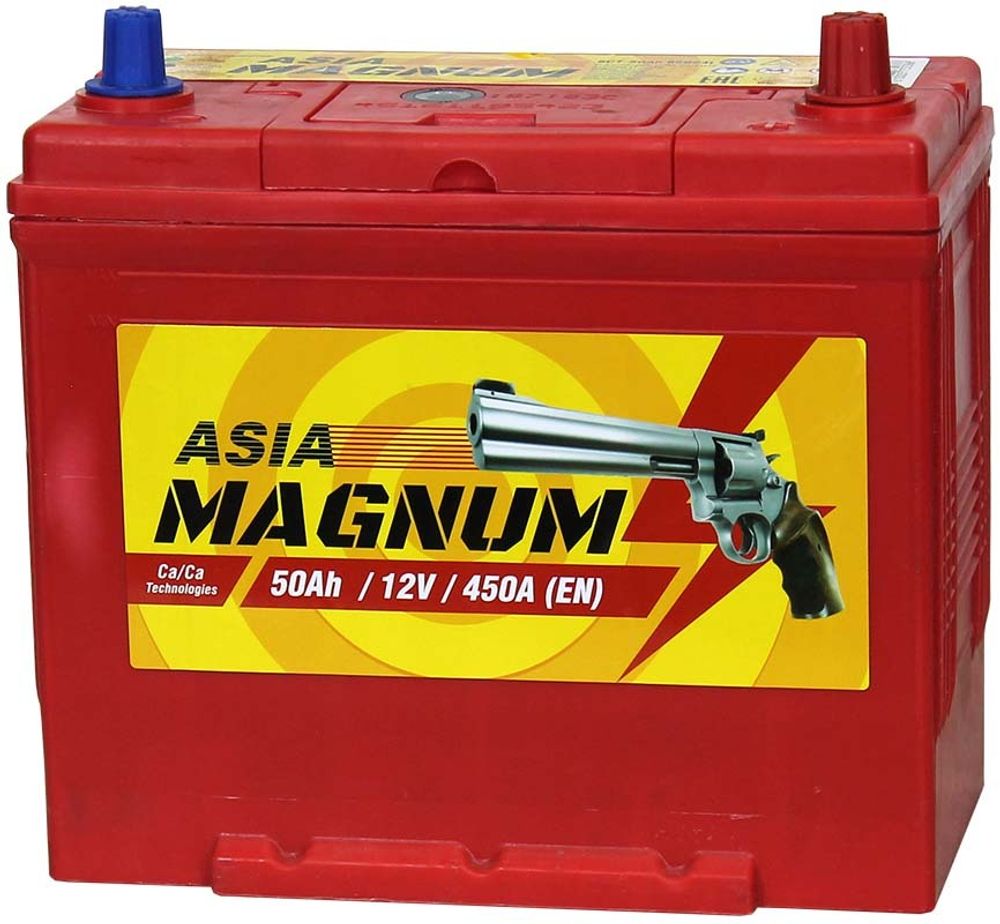 Magnum Asia 6СТ- 50 аккумулятор