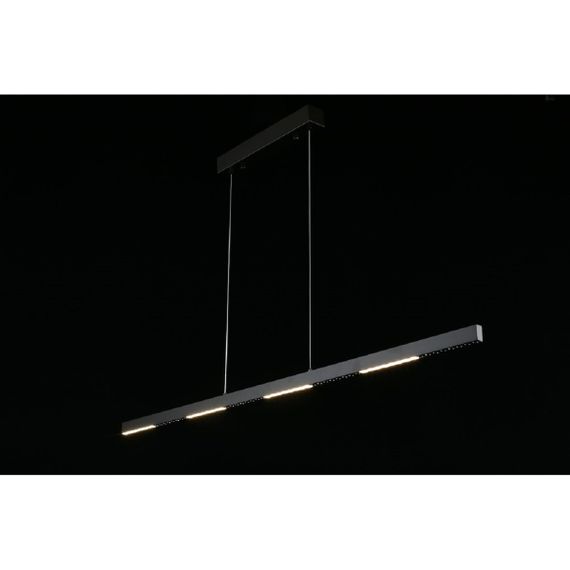 Подвесная светодиодная люстра Aployt Noella APL.051.03.28