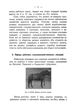 Рабочая сельскохозяйственная лошадь | Холевинский Антон Степанович