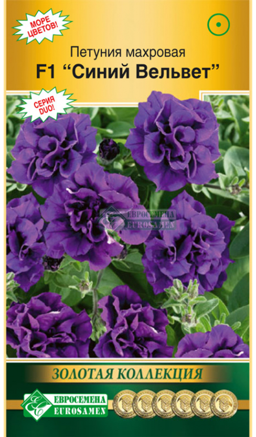 Петуния махровая F1 Синий вельвет