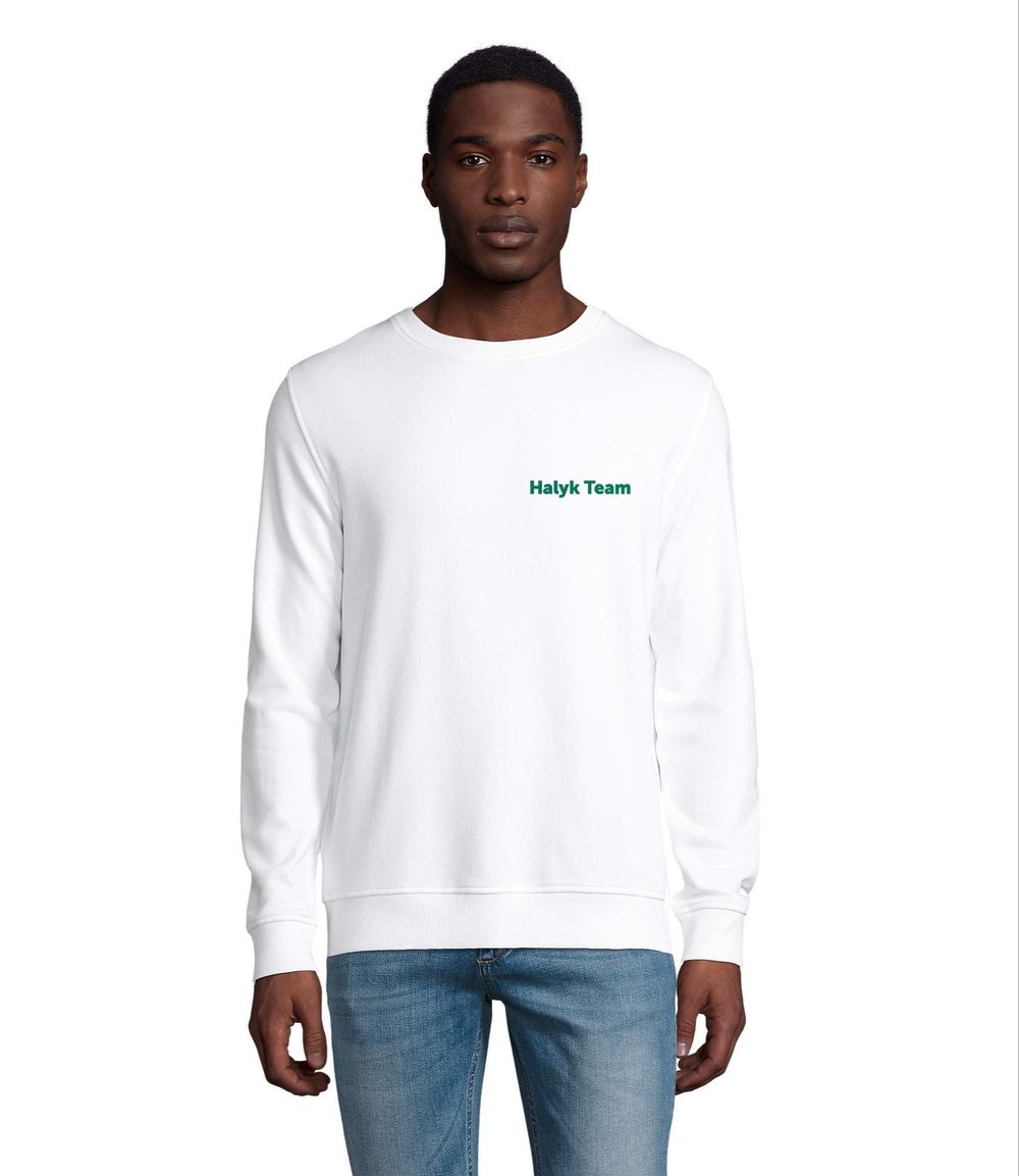 Свитшот Halyk Team COMET