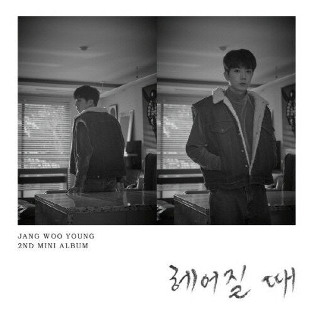 публикация JANG WOO YOUNG - Time To Say Goodbye 2nd Mini Album Making Book