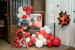 Lady Bug Party