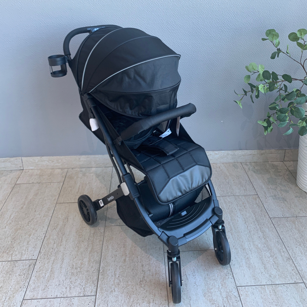 Kоляска детская прогулочная Farfello Comfy Go Comfort (Black/Черный CG-001)