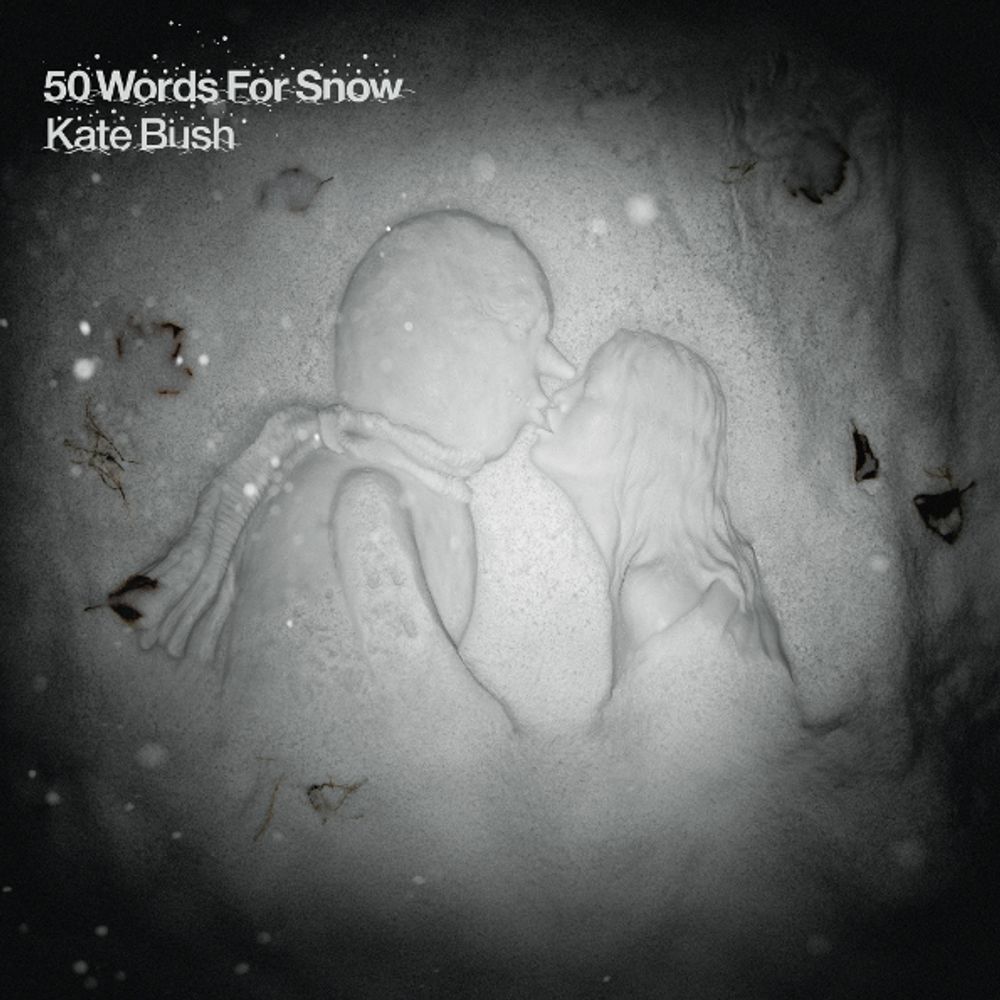 Kate Bush / 50 Words For Snow (CD)