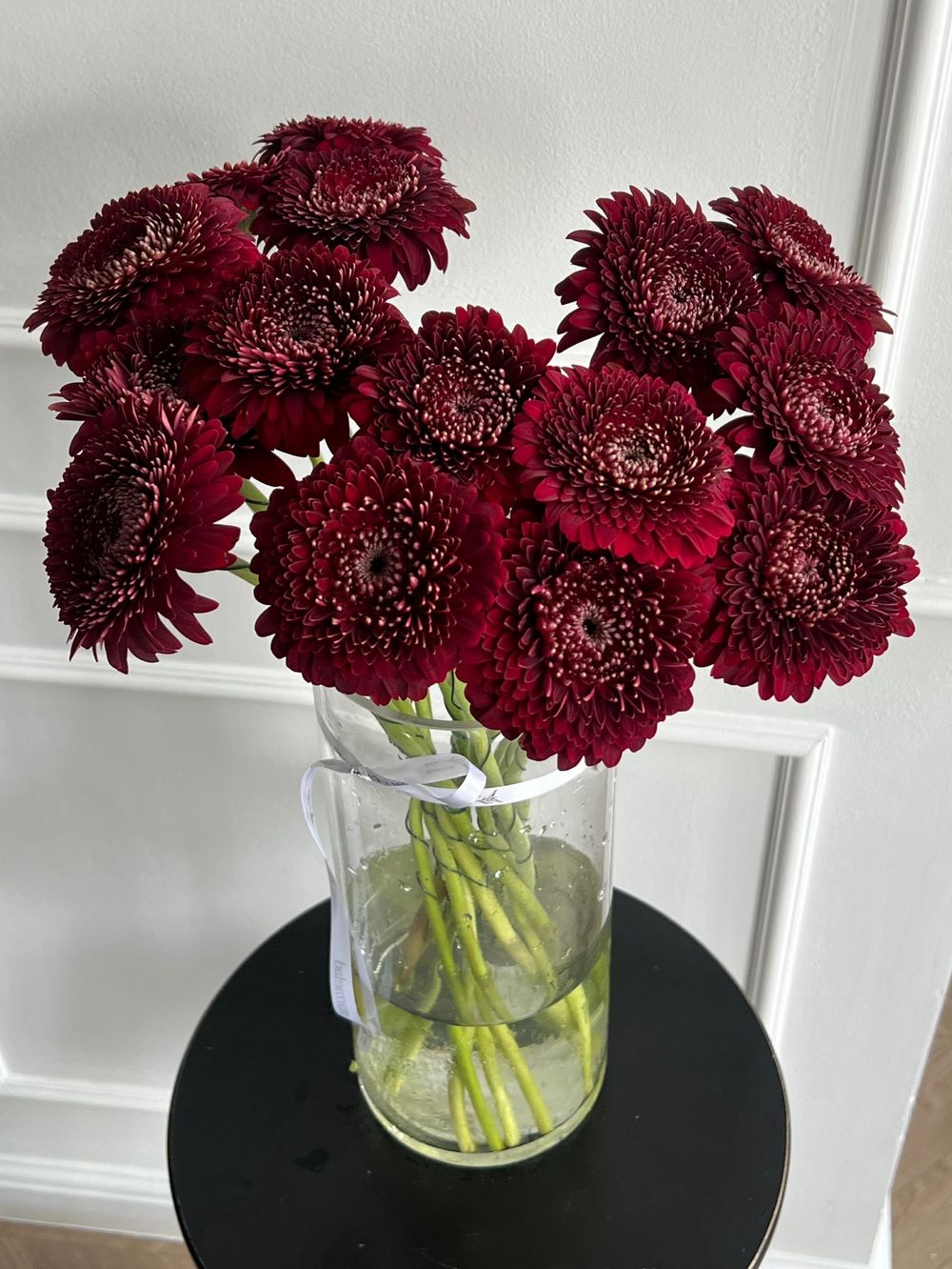 Гербера в бордовом оттенке