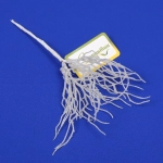 Ветка декоративная «Метелица» 28 см, Белый