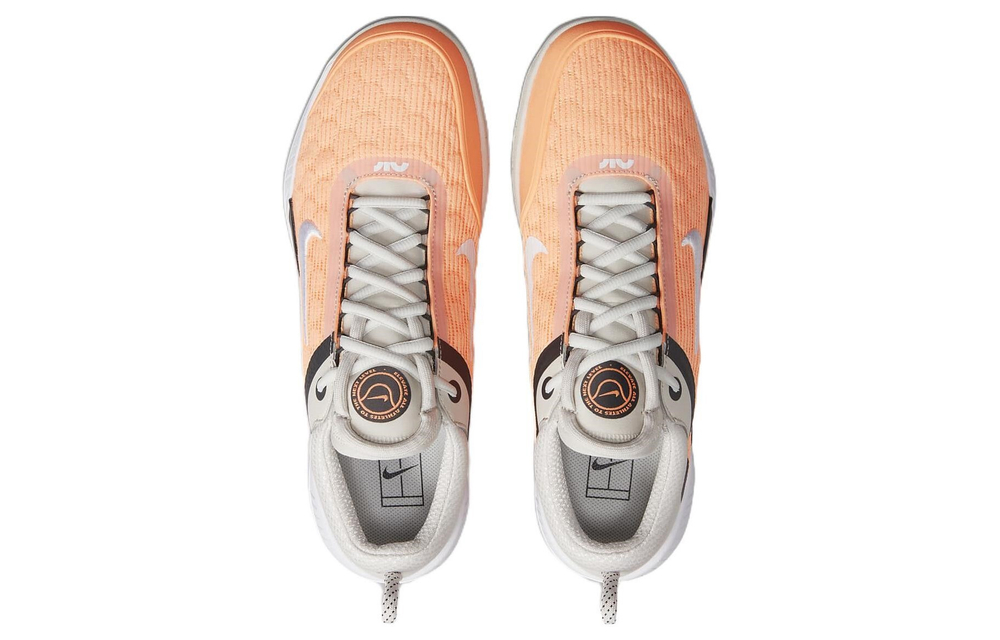 Кроссовки Nike Zoom Court Nxt Hc