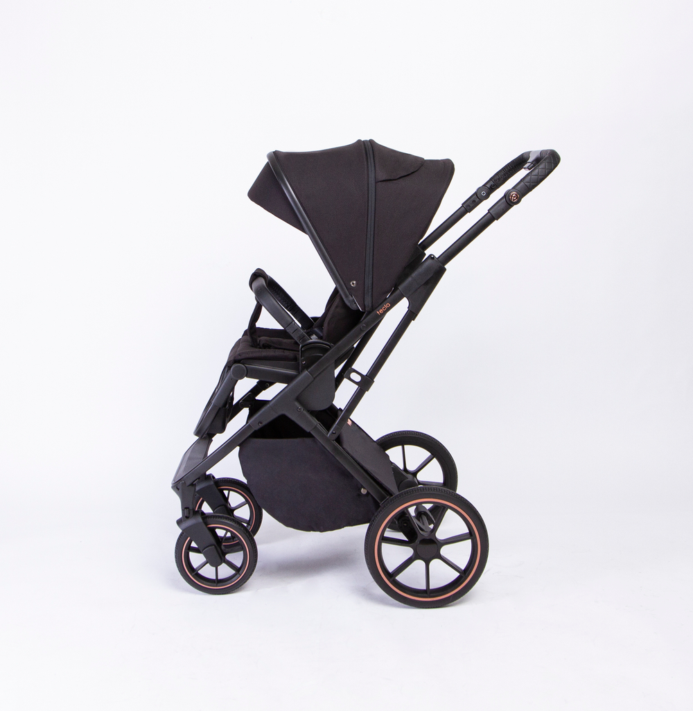 Коляска 2 в 1 Peppy Tecla Rose Black