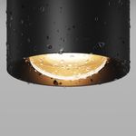 Потолочный светильник Outdoor O498CL-L7B3K